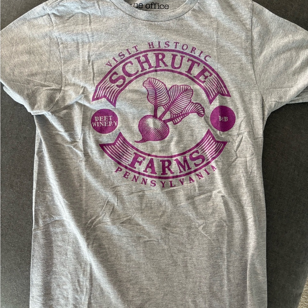 The Office Schrute Farms Mens Short Sleeve Crew Neck Gray T-Shirt - Sz Small
